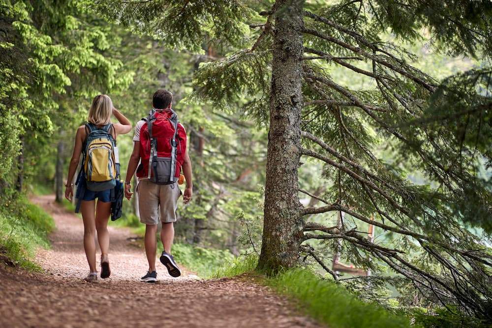 things to do in munds park az