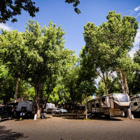 Munds Park RV Resort Deluxe Full Hookup