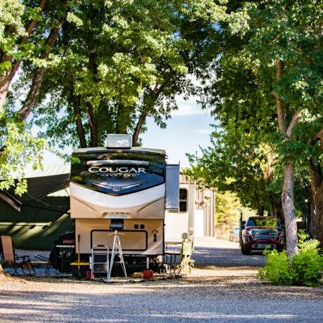 Munds Park RV Resort Basic Sites